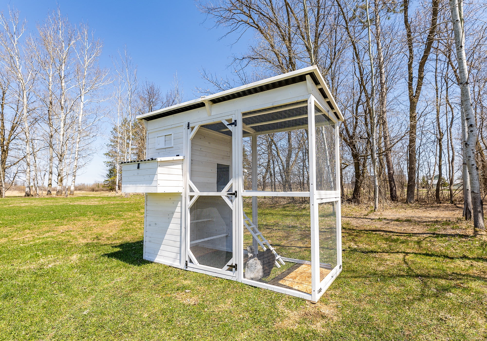 Zylina White Wooden Modern Walk-In Chicken Coop