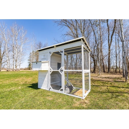Zylina Modern Walk-In Hen House - Chicken Coop