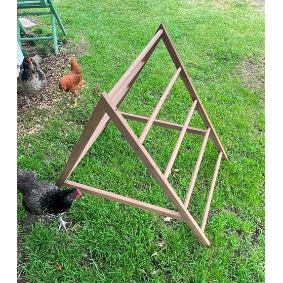 Zylina Play-N-Roost Chick Activity Center - N/A - 36x21x23