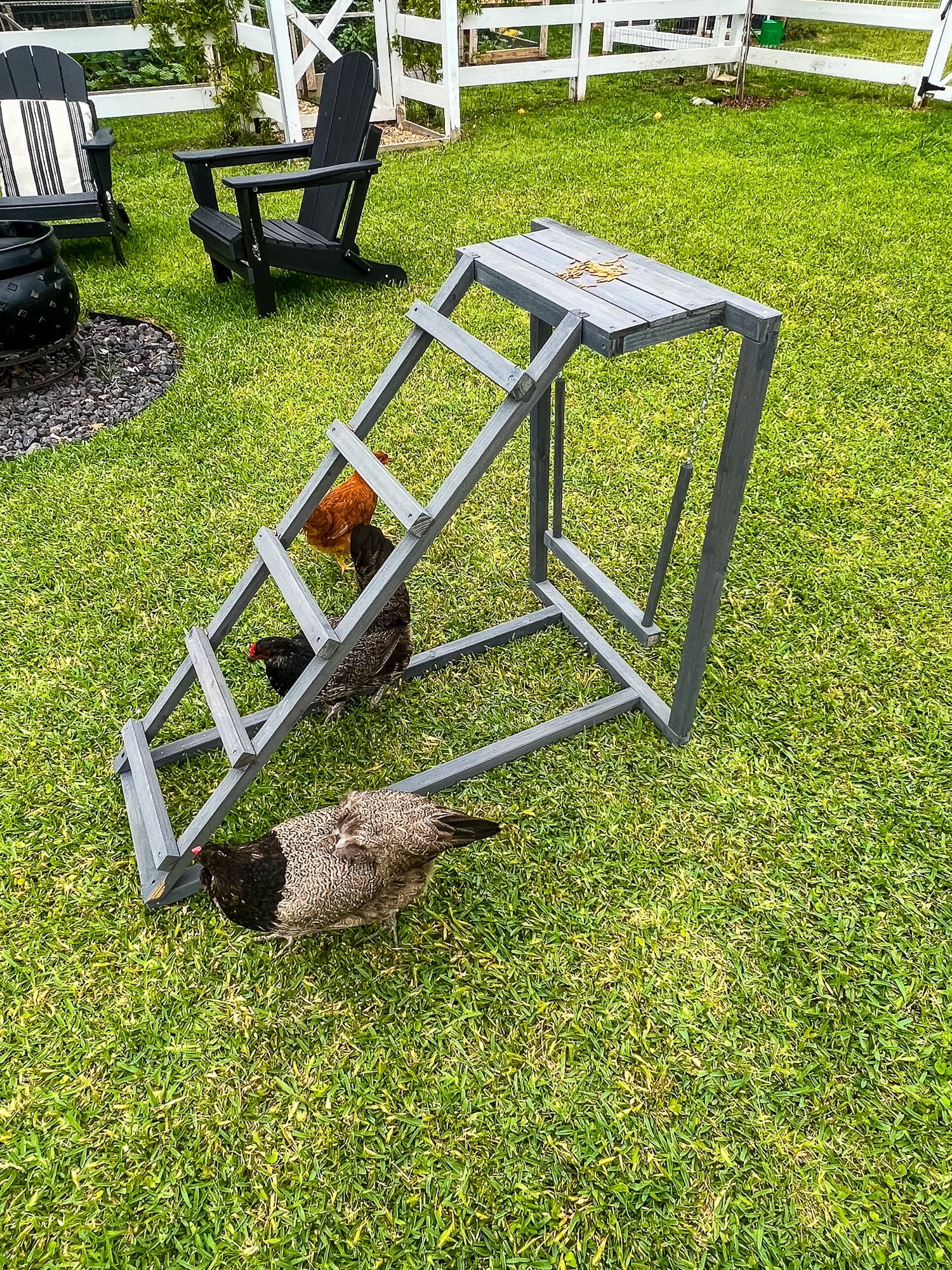Black Wooden Roosting Ladder with Swing for Hens