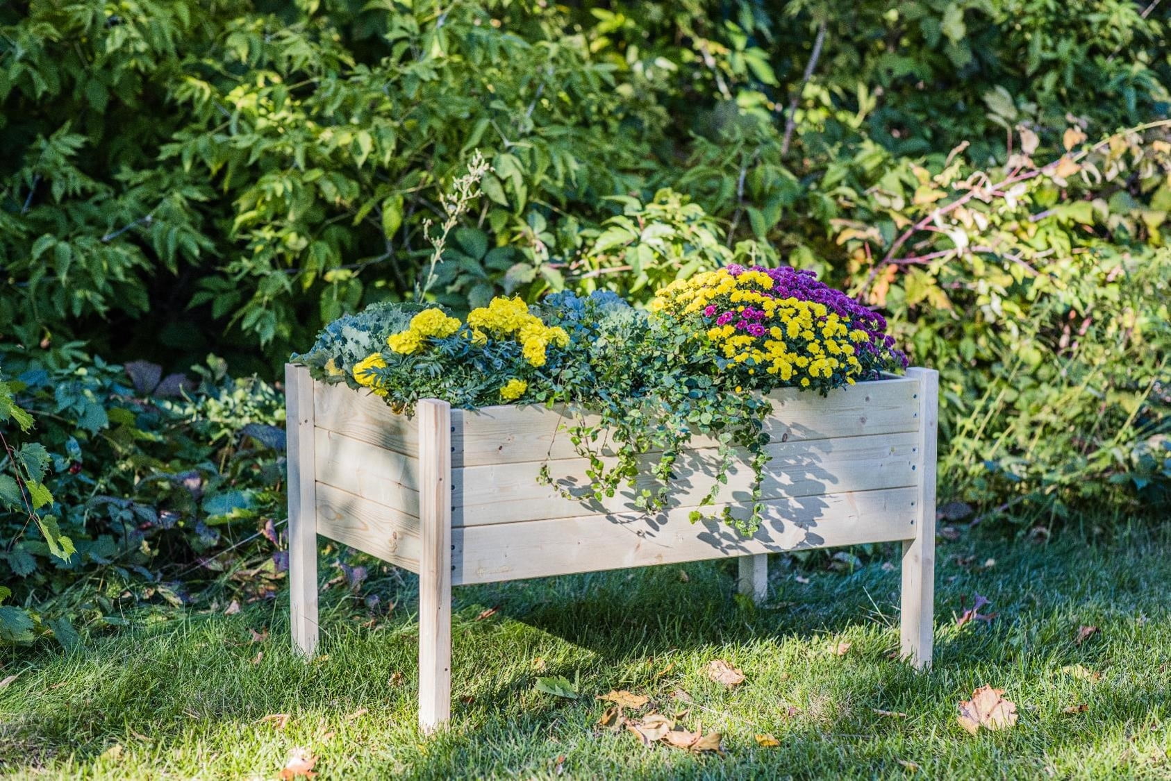 Zylina Large Natural Cypress Wood Raised Garden Planter