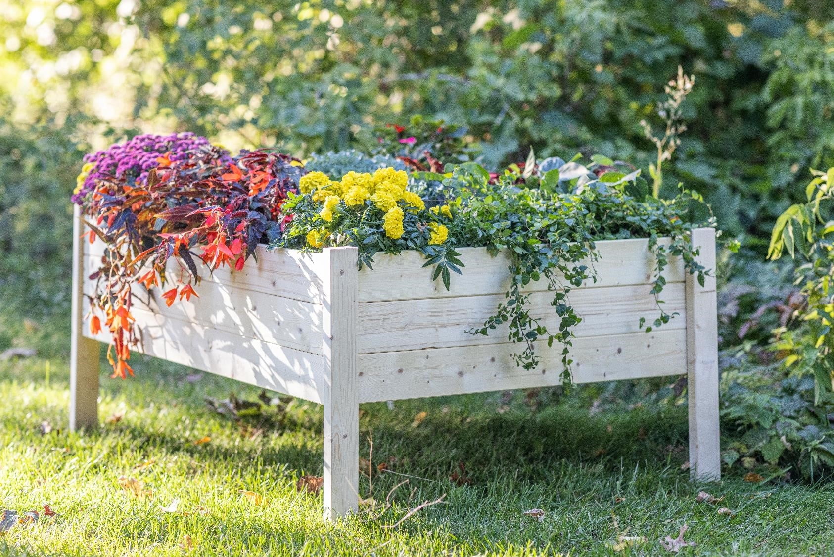 Zylina Extra Large Light Brown Cypress Wood Raised Garden Planter