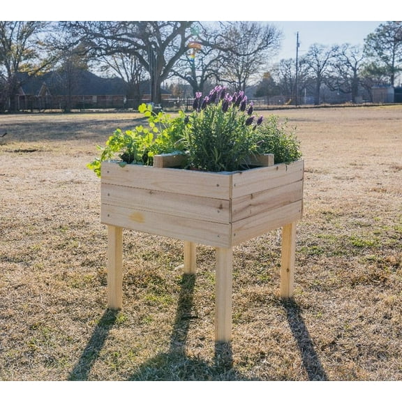 Zylina Raised Elevated Wood Planter Garden Bed Box Stand with 4 Way Divider for Backyard, Patio - Natural 20"(L) x 20"(W) x 20"(H)