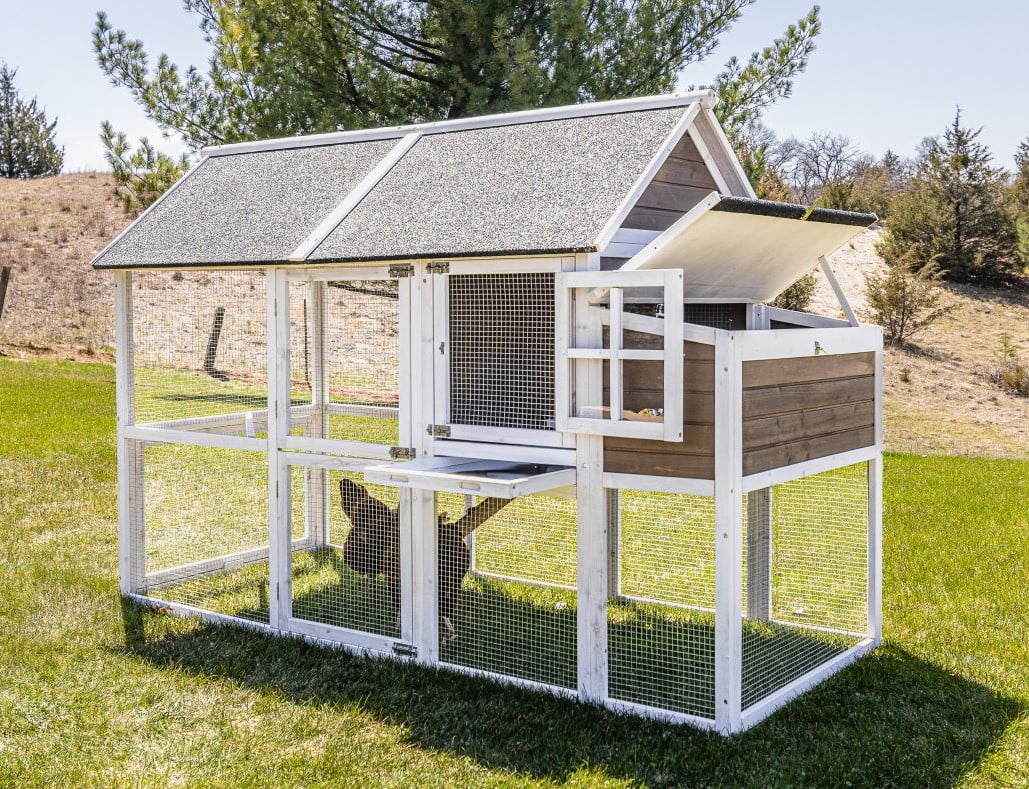 Zylina Superior Hen House Wood Chicken Coop for Chickens 84" x 40" x 57"