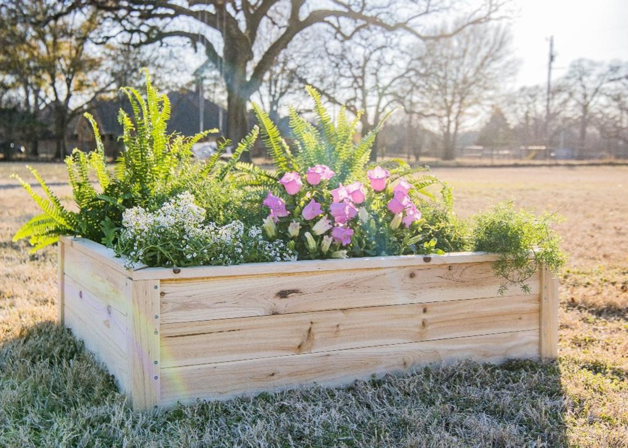 Zylina Superior Raised Wood Planter Garden Bed Box or Backyard - Natural 46"(L) x 35"(W) x 12"(H)