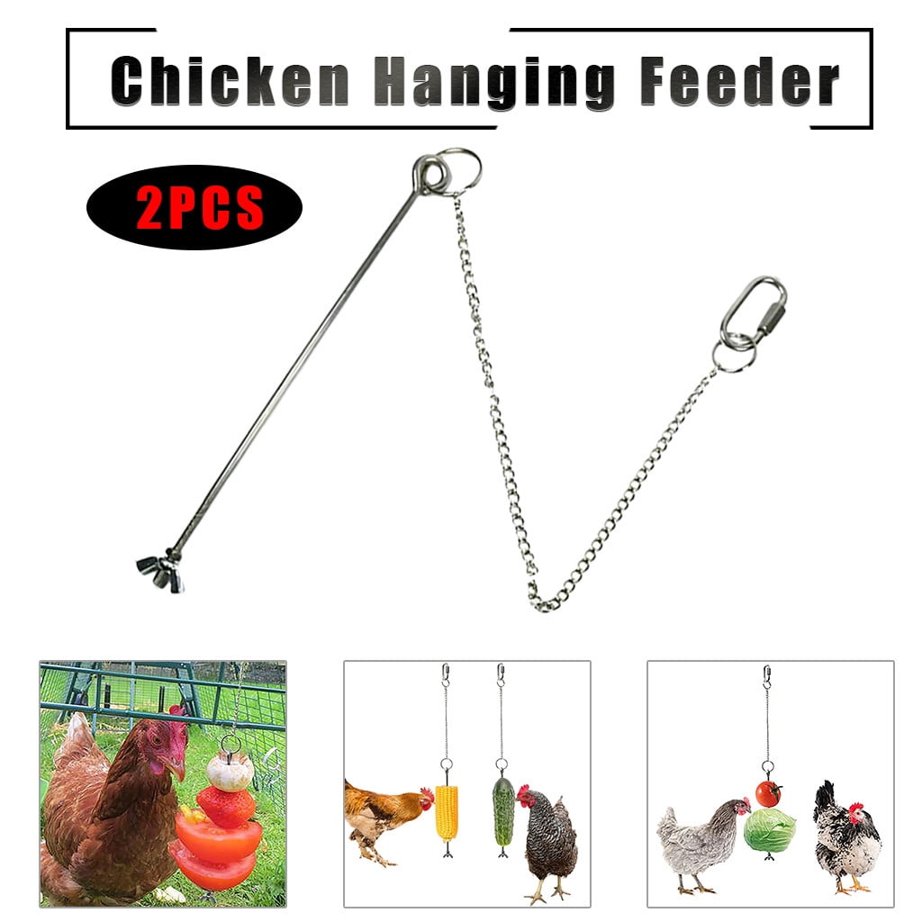 Zynic Bird Feeders Stainless Steel Chicken Vegetable Fruit Skewer ...