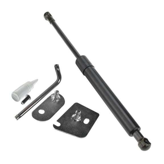 Zynkor 1pc Tailgate Assist Lift Supports Rear Side Shock Strut Black Truck for Ford for F150 2015-2020 8.70"-Compressed Length 10mm-Body Connection(Mm) DZ43204