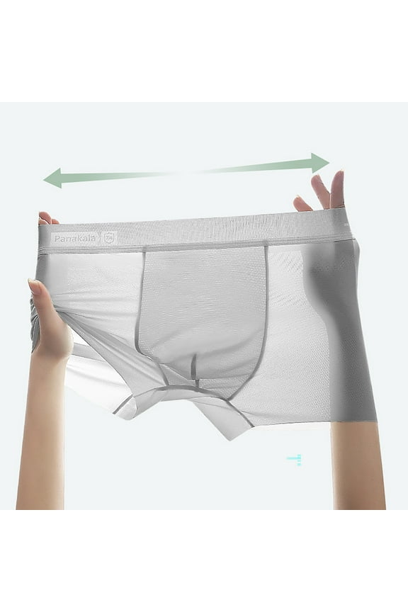 Man Underwear Gray See Through Transparent Breathable Solid Boxer Briefs Underpants for Man,XL