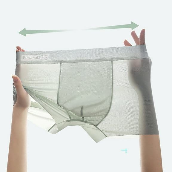 Zynviq Men's Underwear See Through Green Breathable Transparent Solid Boxer Briefs Men Underpants,L