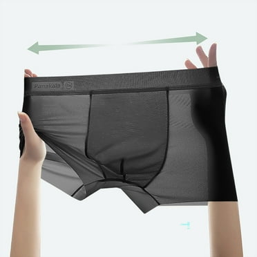Zynviq See Through Underwear Men Black Breathable Solid Transparent Boxer Briefs Underpants for Men,L