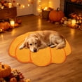 thumbnail image 1 of Zynviq Thanksgiving Area Rugs Pumpkin 31.5" X 19.7" Throw Rug Polyester Washable Novelty Orange Small Rug for Kitchen, 1 of 6
