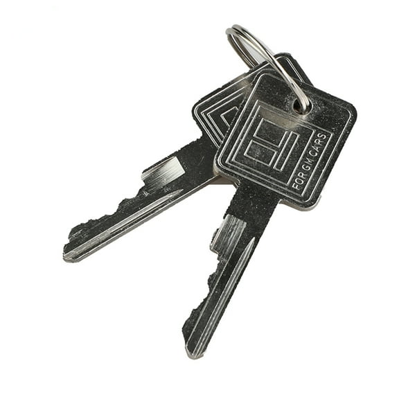Zyutaosan Ignition Lock Switch With Keys For Pontiac Buick Chevy Gmc