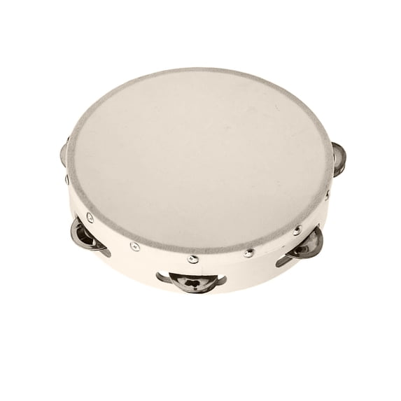 Zzbeans 10 Inch Hand Tambourine, Aluminum Alloy Tambourine Musical Instrument, KidsPercussion Toy for Music Skills Practice and Party Performance