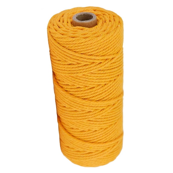Zzbeans Macrame Cord, 3mm 100m Rope for DIY Crafts Knitting, Macrame Hanging Rope Cord for Wall Decor Hangers Jewelry Making, Yellow