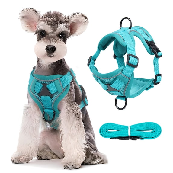 Zzbeans No-Pull Pet Harness, Reflective Dog Vest Harness with Handle, Adjustable Breathable Mesh Cat Harness for Walking Training Control, Blue