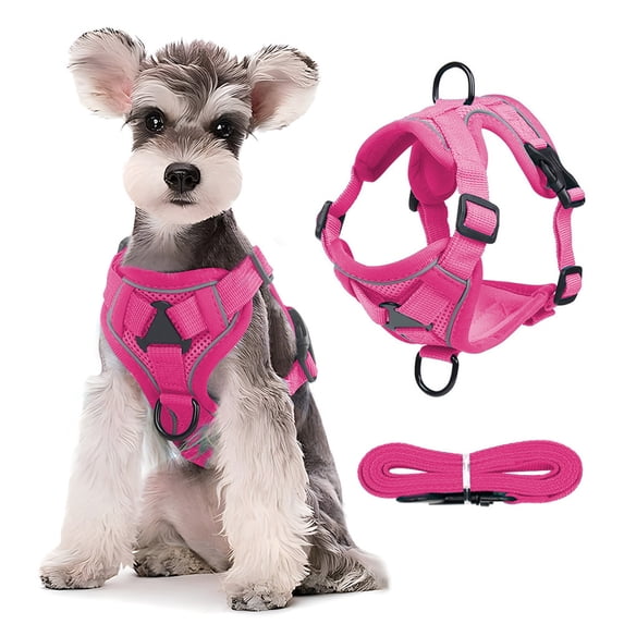 Zzbeans No-Pull Pet Harness, Reflective Dog Vest Harness with Handle, Adjustable Breathable Mesh Cat Harness for Walking Training Control