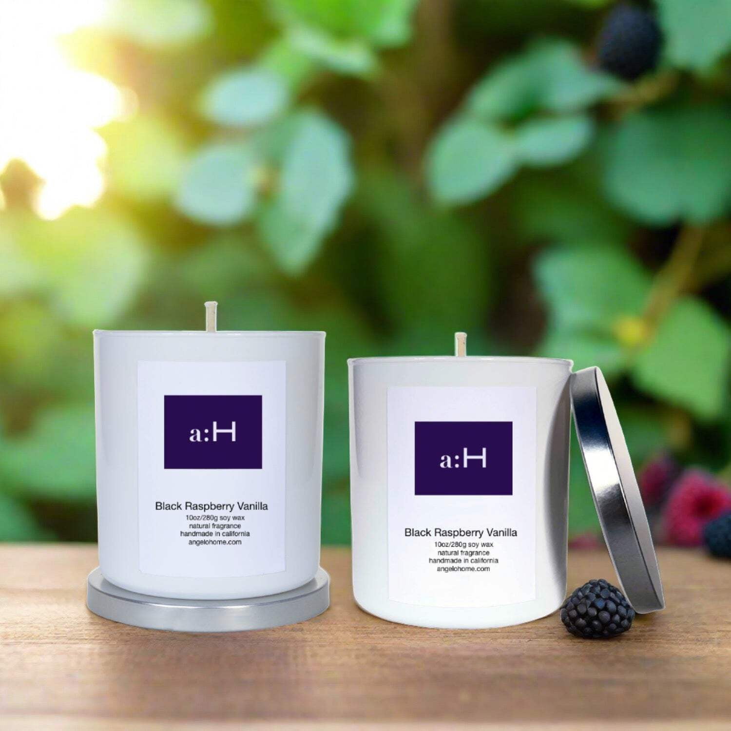 Black Raspberry Vanilla Scented Soy Wax Candle Set