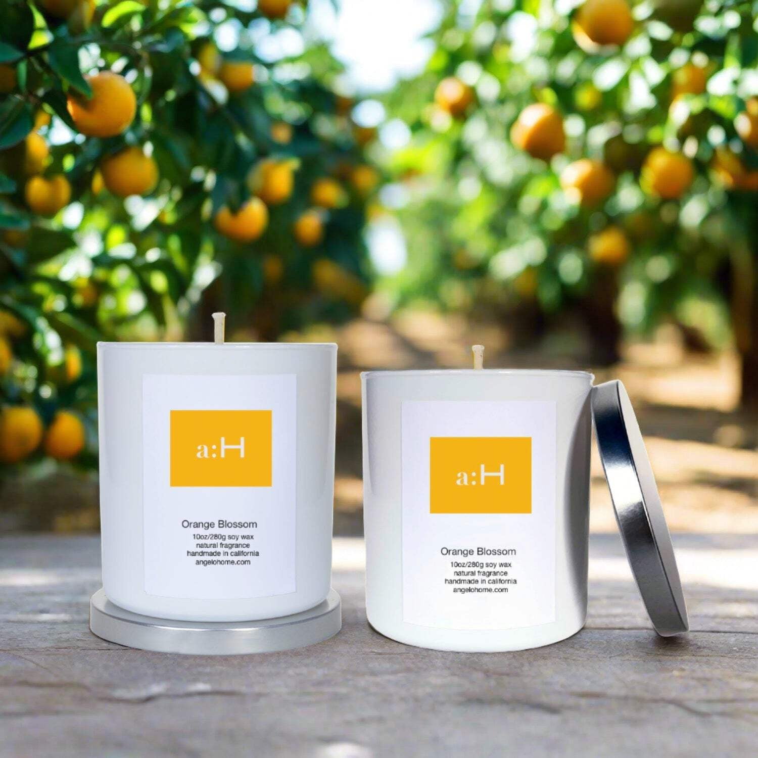 White Soy Wax Scented Candle Set with Orange Blossom