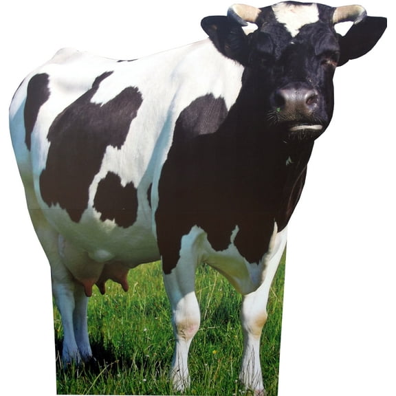 aahs!! Engraving Animal Life Size Cardboard Cutout Stand Up | Standee Picture Poster Photo Print (Cow)
