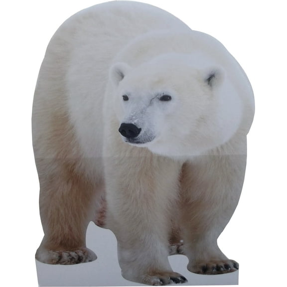 aahs!! Engraving Animal Life Size Cardboard Cutout Stand Up | Standee Picture Poster Photo Print (Polar Bear)
