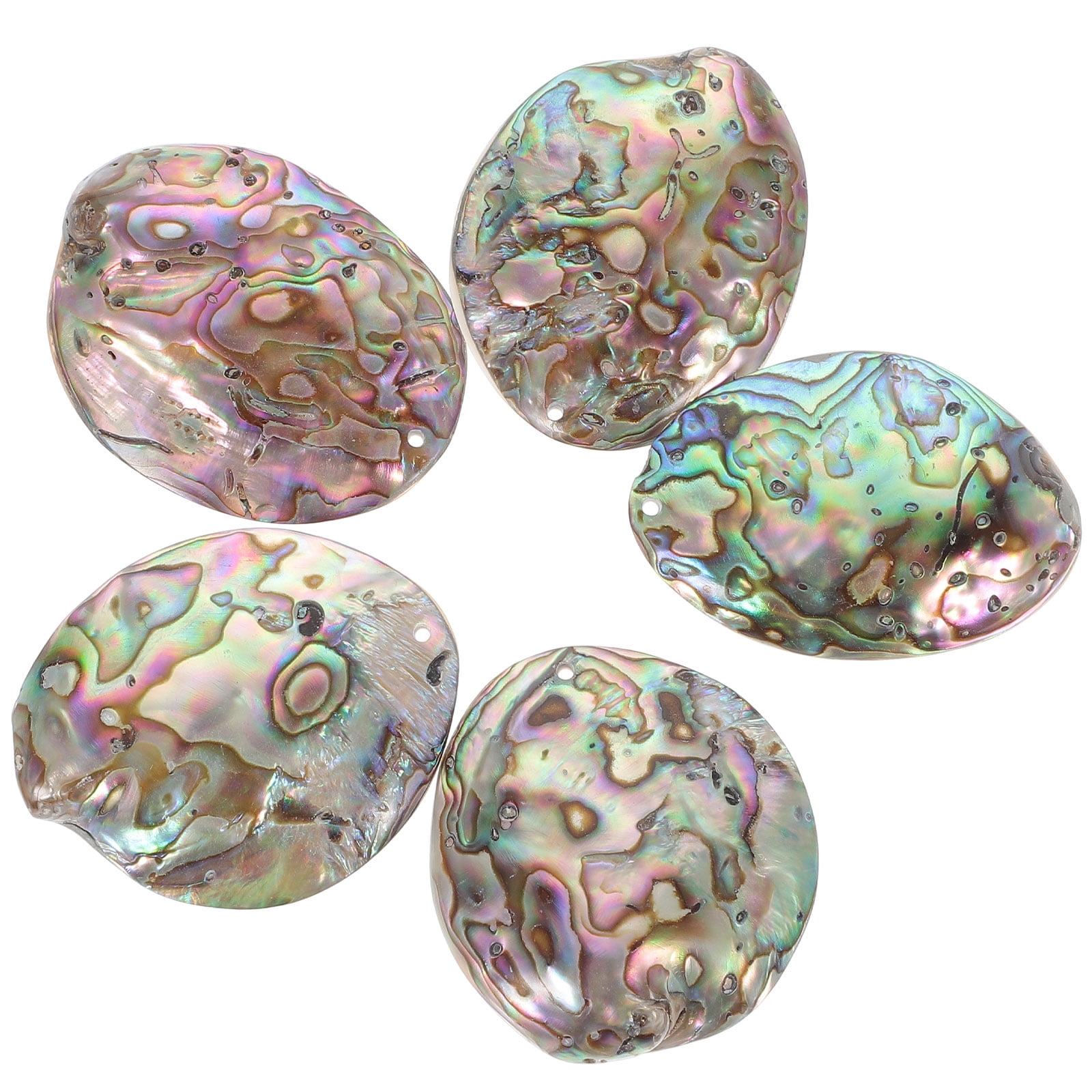 abalone shell 5pcs Abalone Shells DIY Hanging Pendant Home Decorations Wedding Decor DIY Crafts