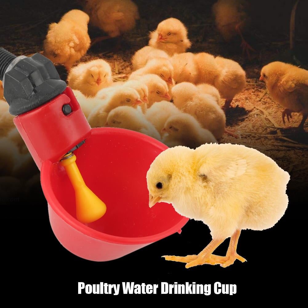 acdanc YLSHRF 10 PCS Automatic Poultry Water Drinking Cups Drinker Feeder for Livestock Chicken Hen, Drinking Cup for Hen