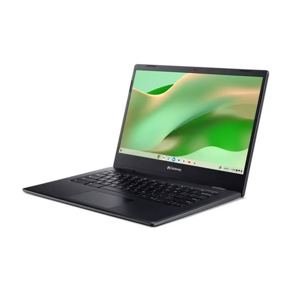 Gateway Chromebook 314 CBO314-1H - Intel Celeron - N4500 / up to 2.8 GHz - Chrome OS - UHD Graphics - 4 GB RAM - 64 GB eMMC - 14" TN 1920 x 1080 (Full HD) - Wi-Fi 5 - star black - kbd: US