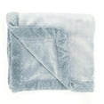 thumbnail image 1 of aden + anais essentials Plush Blanket, Fuzzy Blanket for Baby, Infant or Newborn Receiving Blanket, For Crib, Stroller, Travel, Sea Blue, Boys, 1 of 7