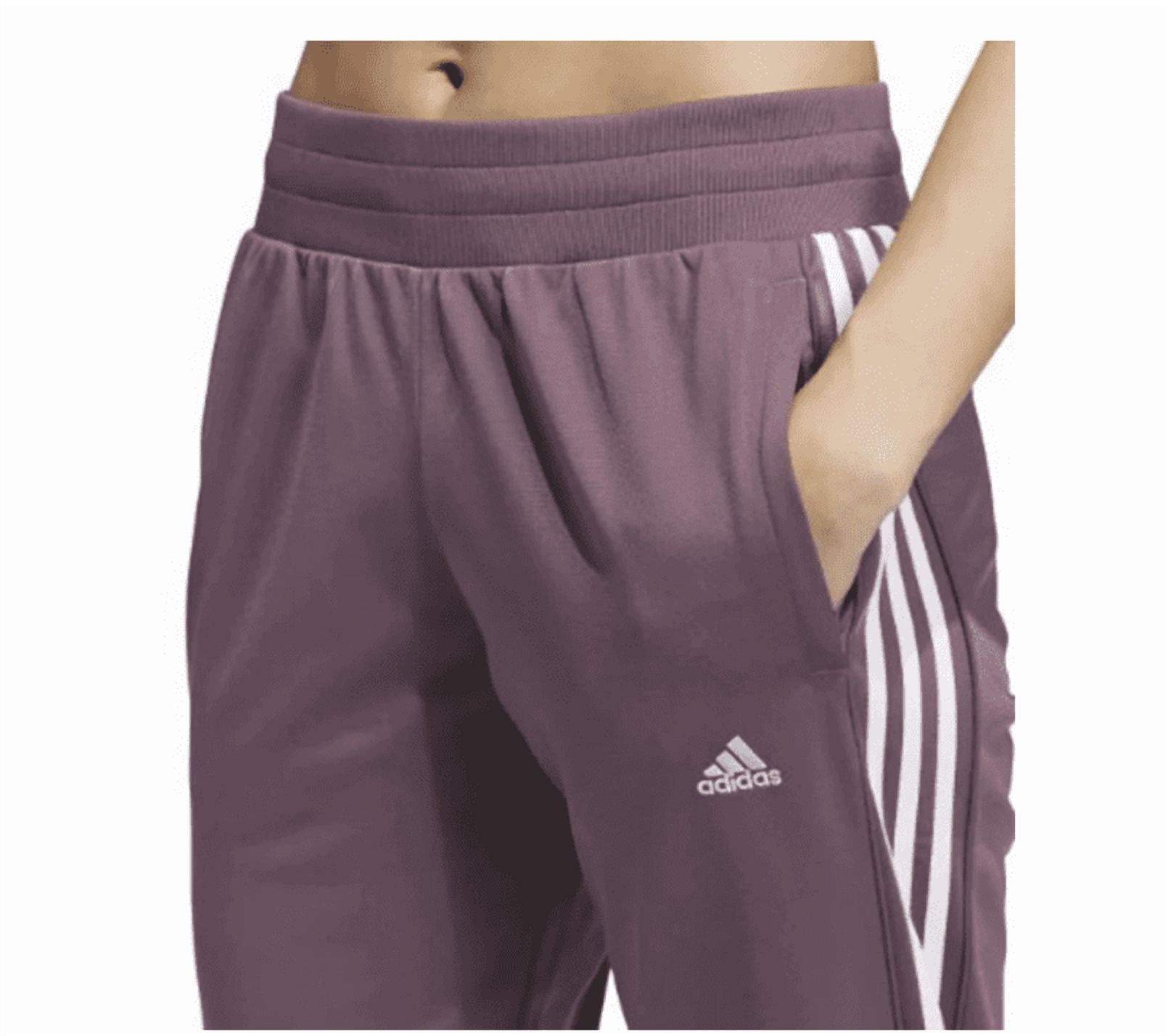 ADIDAS Womens 3-Stripes Jogger Pant (Shadow Fig/White, XS)