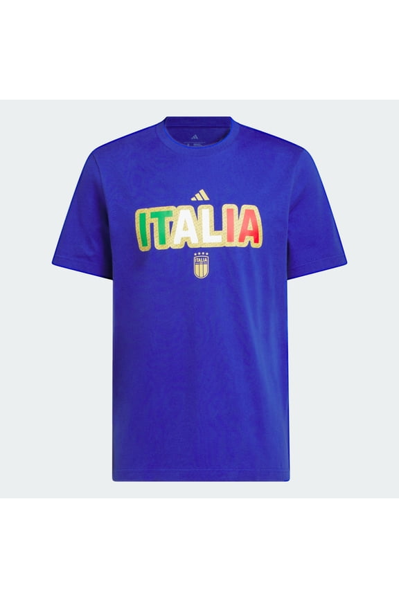 World Cup Italy Men's Home Graphic Tee 26 - Blue