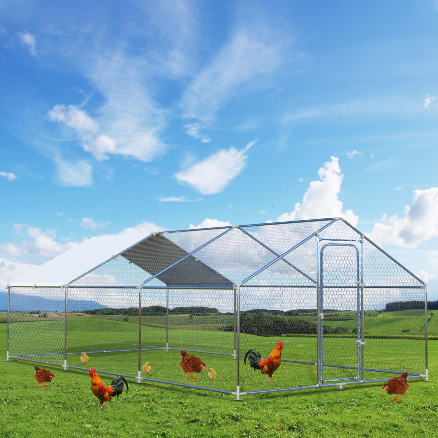 Chicken Coop The Fellie Large Walk-In – Outdoor Poultry Pen With ...
