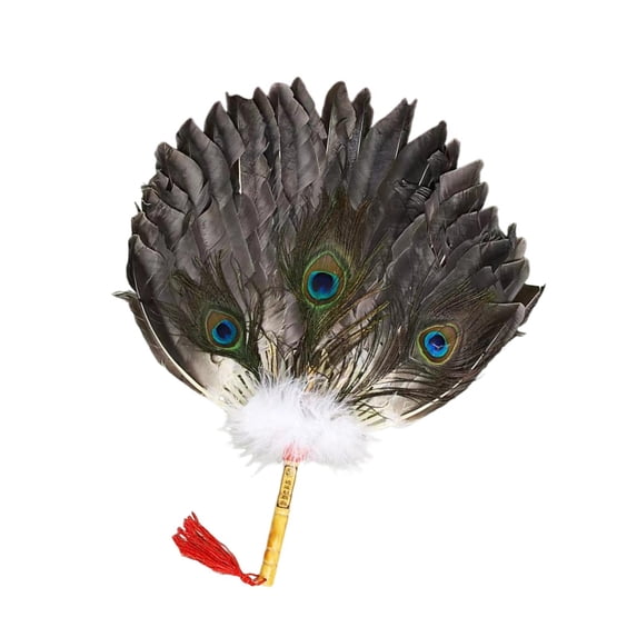 amagogo Ancient Chinese Zhuge Liang Feather Fan Adult Feather Handheld Fan for Party E