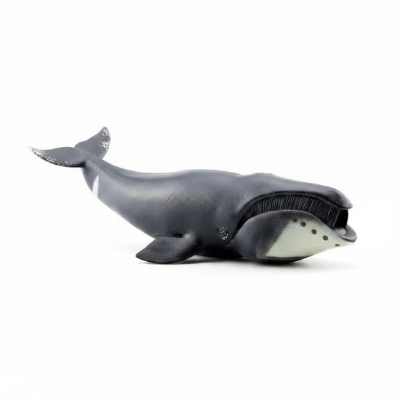 amagogo Animal Figurine Bowhead Whale Collectible Model Marine Mammal Educational Shelf Friendly Size for Classroom