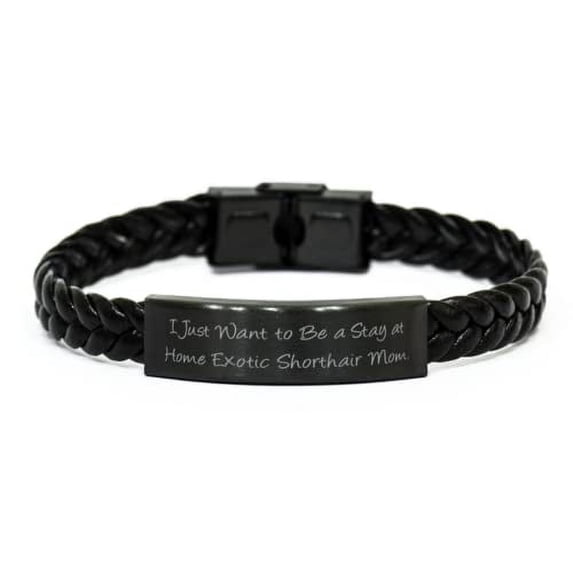 amangny Inappropriate Exotic Shorthair Cat, I Just Want to Be a Stay at Home, Unique Braided Leather Bracelet for Cat Lovers from Friends