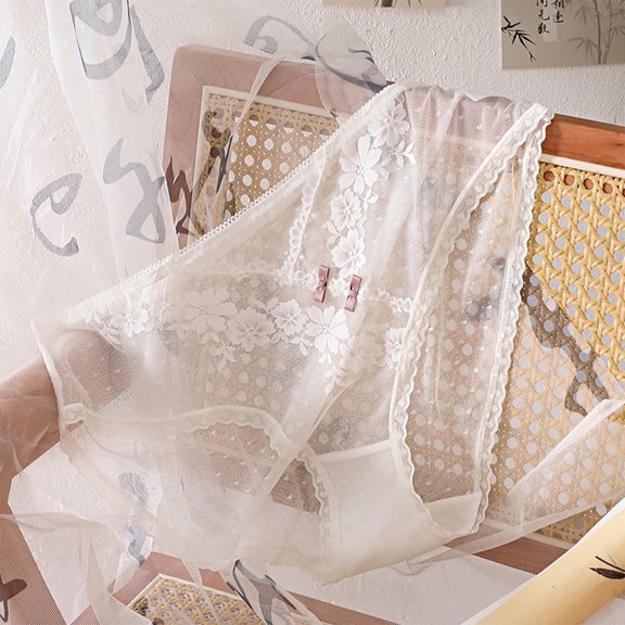 Wancir Womens Sexy Underwear Lace Panties High Waisted Plus Size Ladies Brief for Women