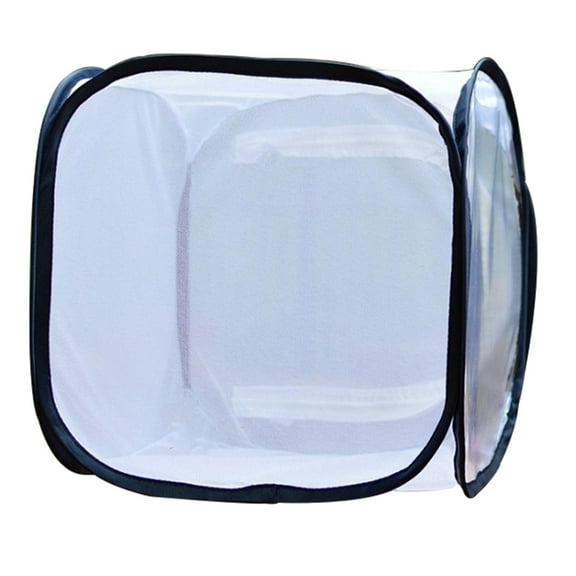 and Butterfly Cage for Grasshopper Nature Observation Raising