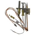 and HeatnGlo Natural Gas Assembly 4021732
