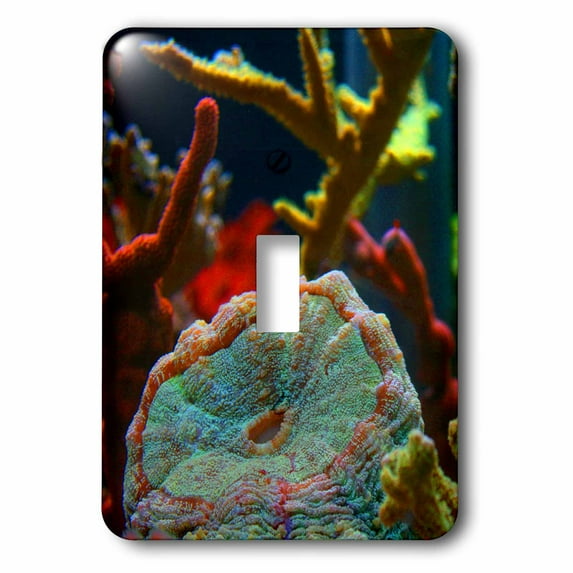 3dRose, anenome saltwater image , single toggle switch
