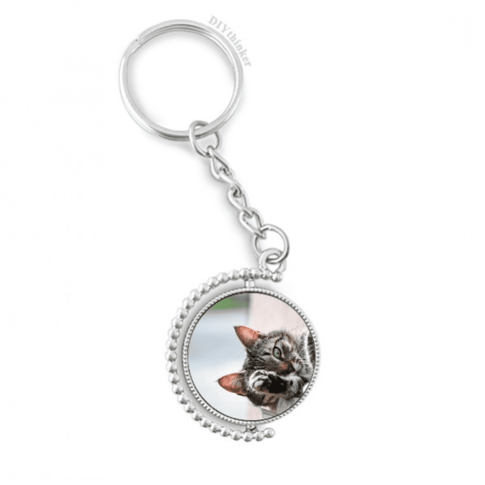 animal activity cat photograph picture rotatable keyholder disc ...