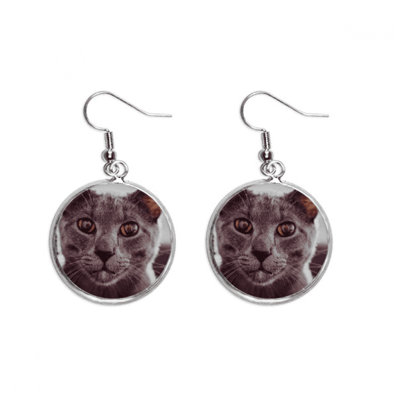 animal big eye gray cat photograph ear dangle silver drop ear jewelry woman