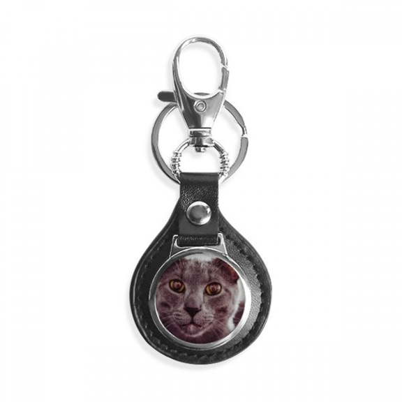 animal big eye gray cat photograph key link chain keyholder finder hook metal