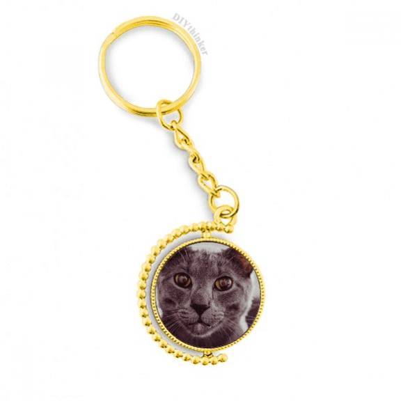 animal big eye gray cat photograph metal connector key chain  accessory en keyholder