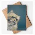 thumbnail image 1 of animal blue cat photograph greeting cards you are invited invitations, 1 of 4