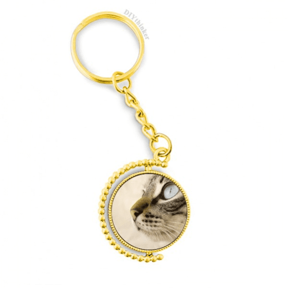 animal blue eye kitten gray photo metal connector key chain  accessory en keyholder