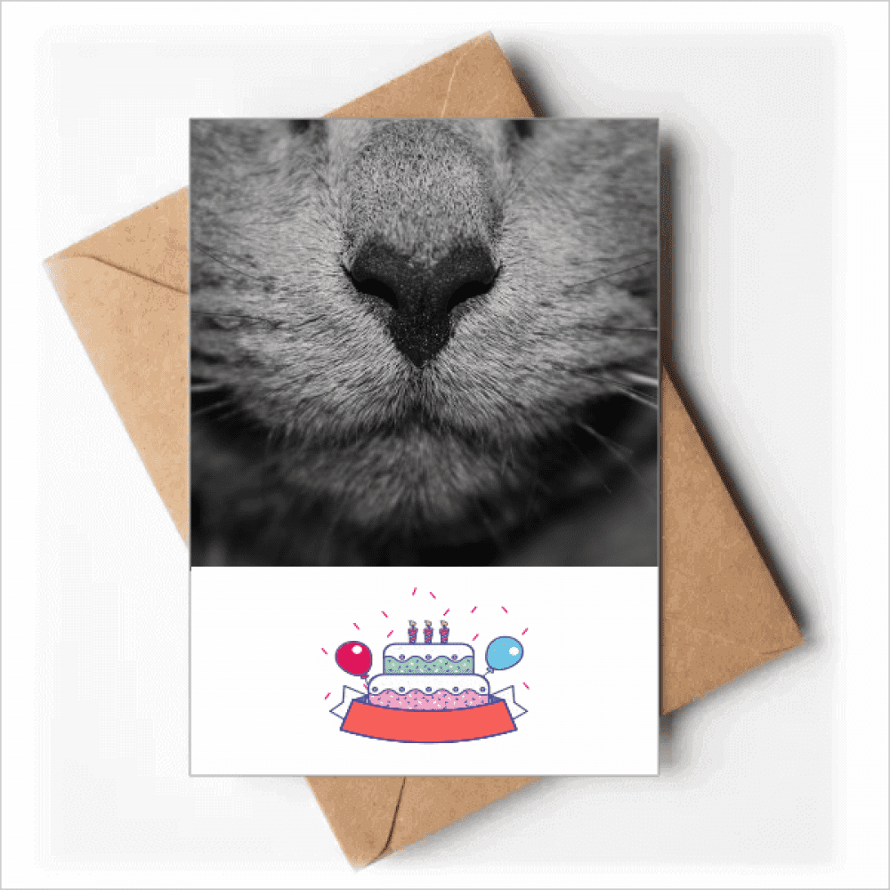 animal cat photograph picture Happy Birthday Greeting Cards Envelopes Blank
