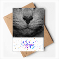 thumbnail image 1 of animal cat photograph picture Welcome Back Greeting Cards Envelopes Blank, 1 of 4