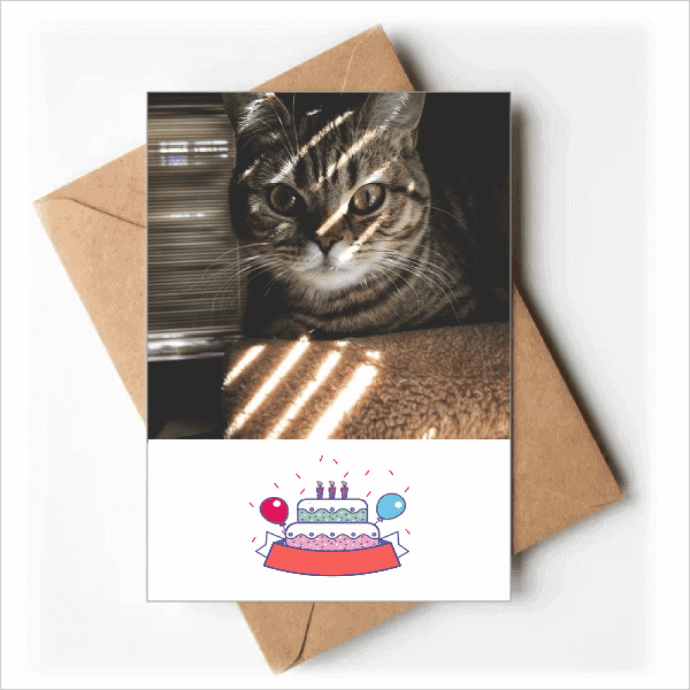 animal cat ray photograph Happy Birthday Greeting Cards Envelopes Blank