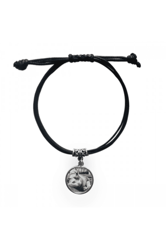 animal colorful cat photograph picture bracelet leather wristband black jewelry