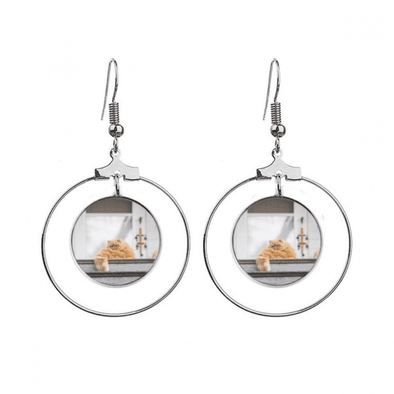 animal fat cat photograph earrings dangle hoop jewelry drop circle