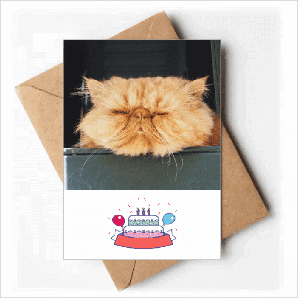 animal funny yellow cat Happy Birthday Greeting Cards Envelopes Blank